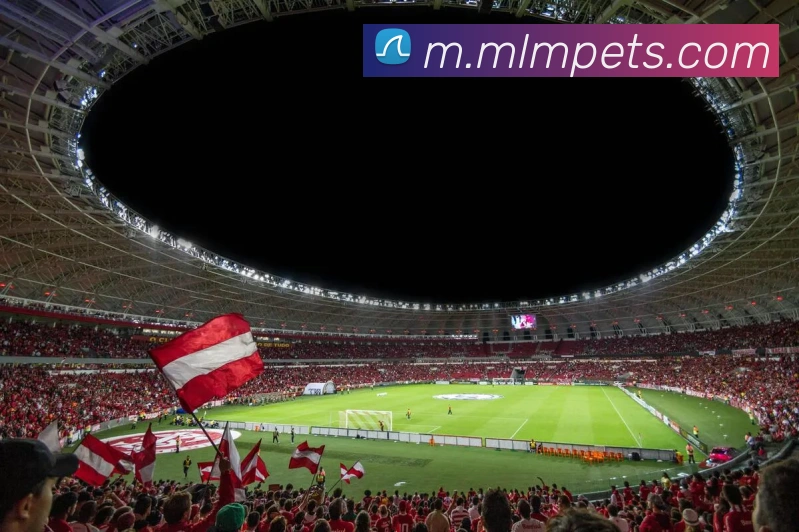 米兰milan官网APP 封面图